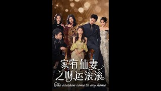 家有仙妻之財運滾滾
