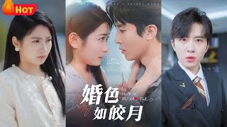 婚色如皎月