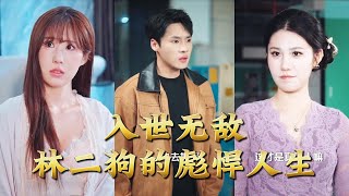 入世无敌林二狗的彪悍人生