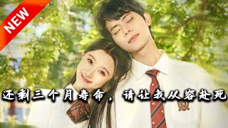 還賸三個月壽命，請讓我從容赴死