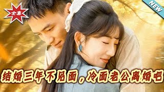 Married for Three Years, Never Seen: Cold Husband, Let's Divorce!