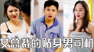 貧司機的逆襲：豔遇女神的意外寵愛