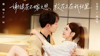 謝綠茶不嫁之恩校花正在我懷裡