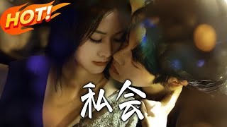 私會：穿書後系統逼我戀反派