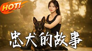 忠犬的故事