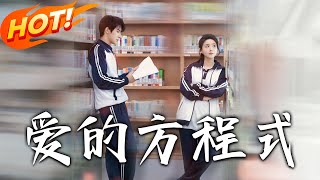 《爱的方程式》第1~96集【高清完结合集】丨