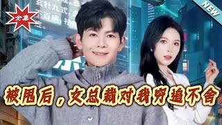 After Being Dumped, the Female CEO Chases Me Relentlessly