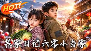 养家日记：六零小当家