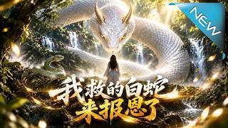 我救的白蛇来报恩了