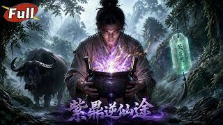 《万古紫鼎：无灵根少年逆袭录》