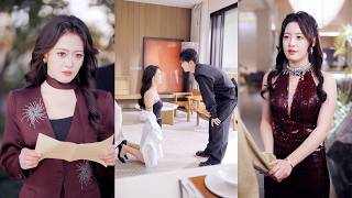 《The CEO Who Tore My Marriage Certificate Kneeled After Three Days》