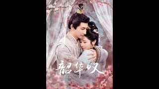 後宮鬭智：現代打工女的逆襲