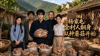 杨家屯：全村人翻身从种蘑菇开始