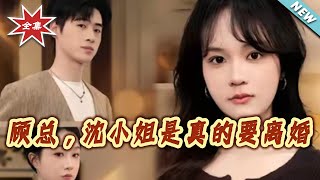 顾总，沈小姐是真的要离婚