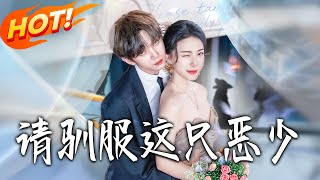 请驯服这只恶少