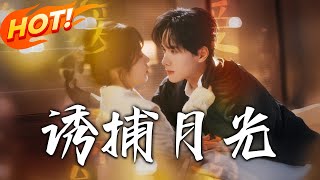 誘捕月光：江梨的暗戀與重逢