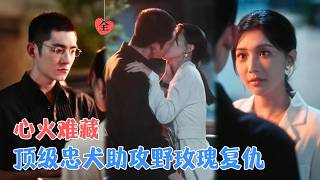 复仇千金与商界阎王：利用棋局的救赎