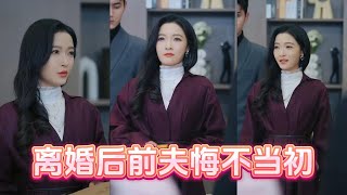 Divorced Husband Regrets His Past Actions