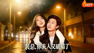 裴总，你夫人又破局了