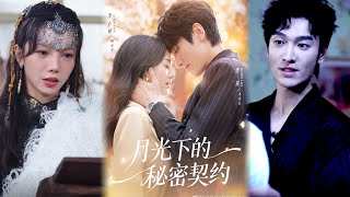 月光下的秘密契约