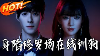 《身陷修罗场在线训狗》