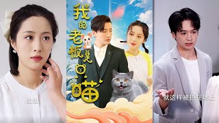 我的老板是衹喵