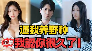 爱，无期