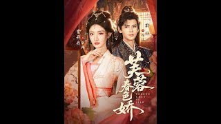 Blush of Hibiscus in Spring