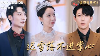 迟雪落不进掌心