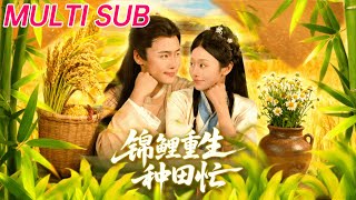 锦鲤重生种田忙