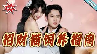 The Guide to Raising a Lucky Cat