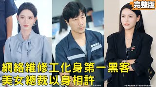 The Female CEO's Repairman Is Actually a Top Hacker