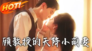 顾教授的天降小萌妻