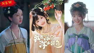 我在深宮渾水摸魚