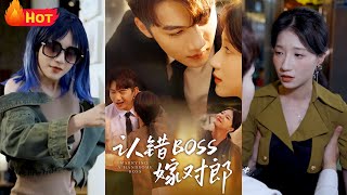 Mistaking the Boss, Marrying the Hero