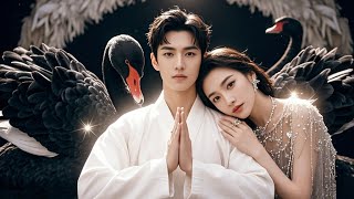 Yin-Yang Divine Diviner