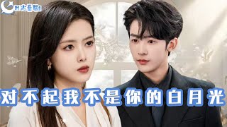 對不起我不是你的白月光