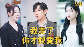 我走了你才说爱我