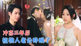 燕颢元&amp;鲁照华 | 她以为自己找了个金饭碗，老公昏迷，有钱有势没人管，直到她被豪门欺负那天，