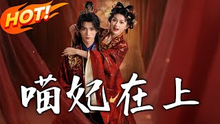 《喵妃在上》