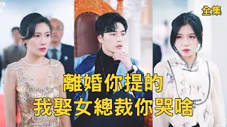 离婚你提的我娶女总裁你哭啥