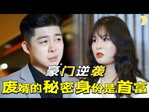 廢物女婿的逆轉人生