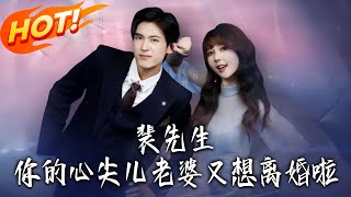 裴先生妳的心尖兒老婆又想離婚啦