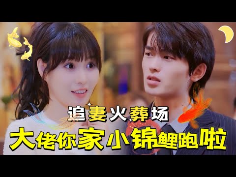 霸縂追妻記：錦鯉千金的逆轉愛情