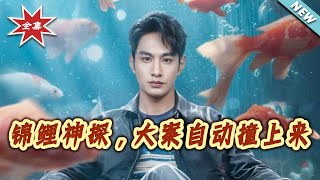 锦鲤神探，大案自动撞上来