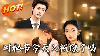 《时秘书今天又被撩了吗》