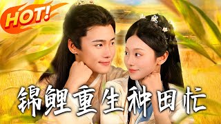 锦鲤重生种田忙