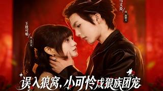 误入狼窝，小可怜成狼族团宠