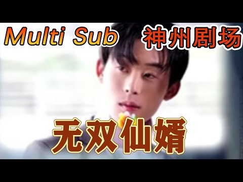 無雙仙婿