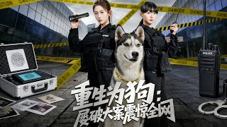 重生爲狗屢破大案震驚全網
